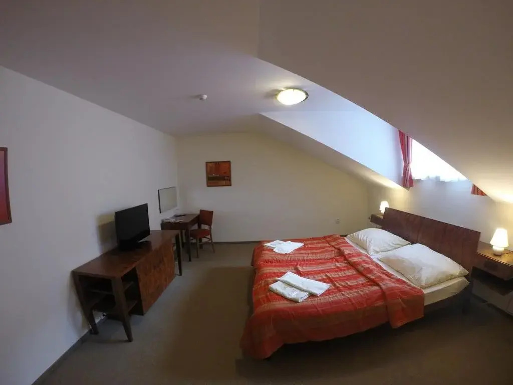 Hotel Vion