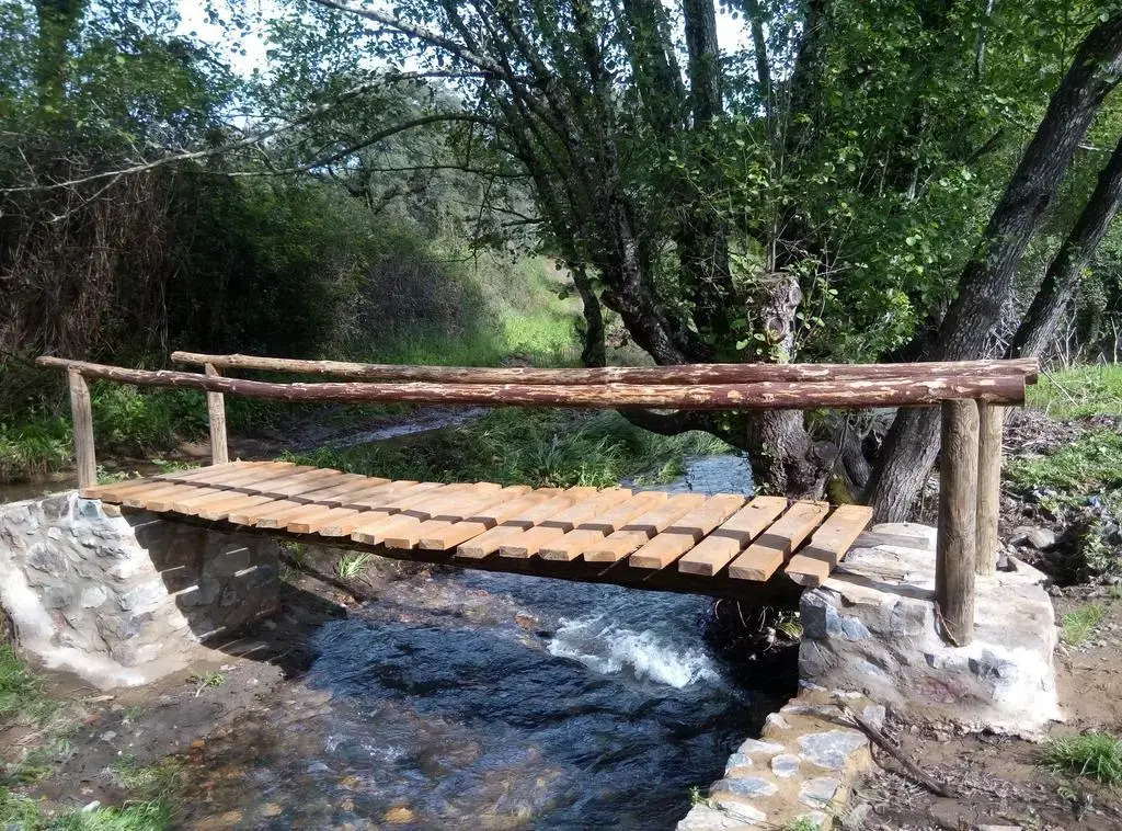 Bozquez Rural