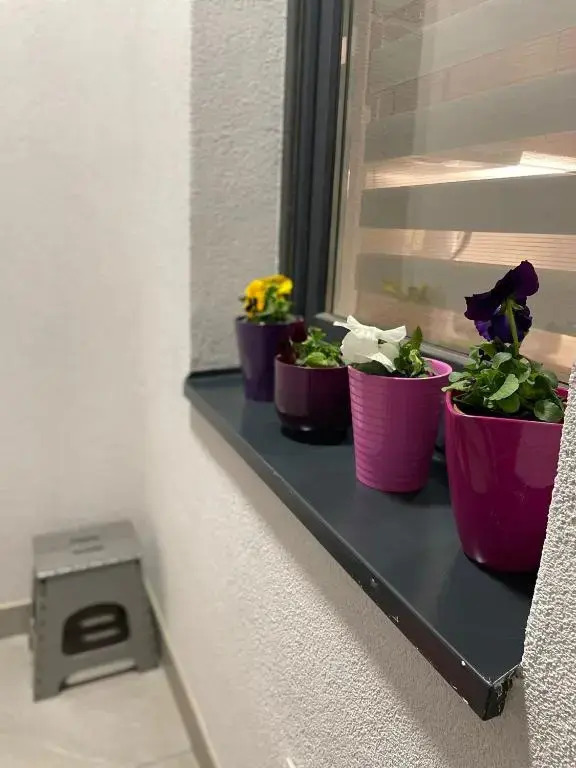 Apartman Mik Novi Sad