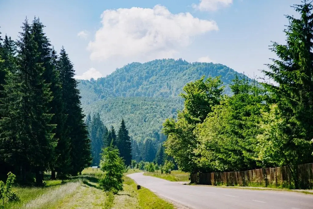 Valea Zanelor