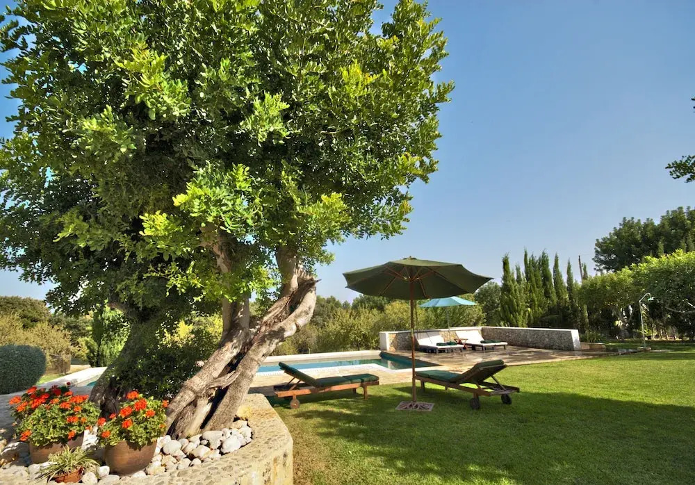 Finca Alzina 454