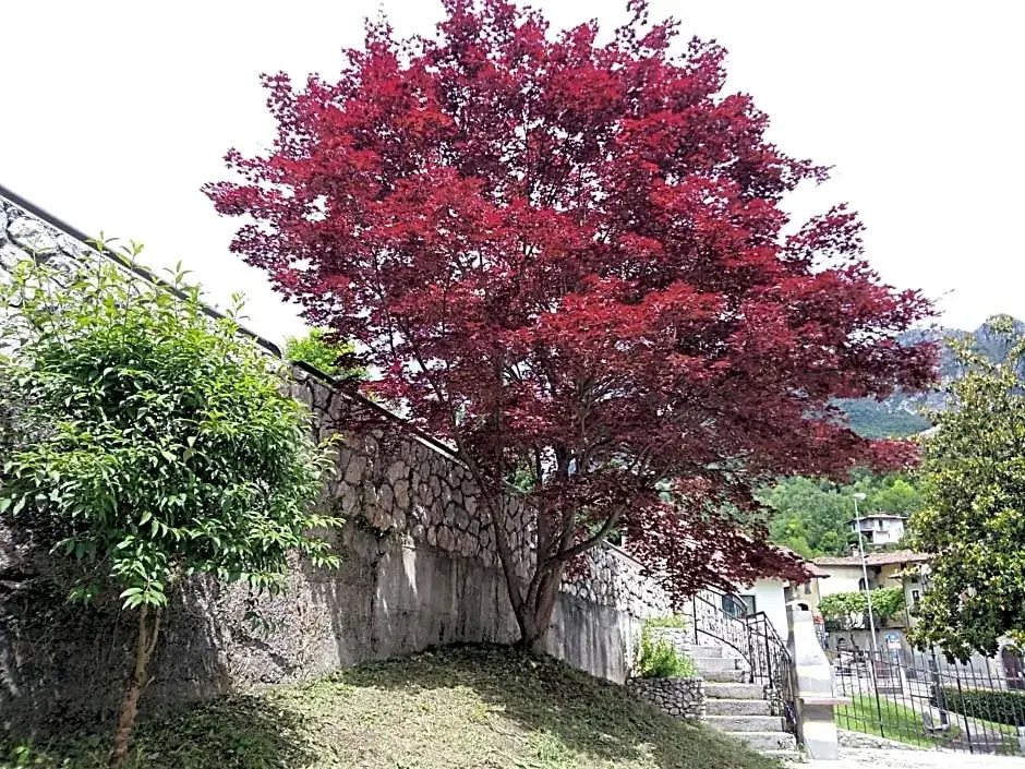 B&B LAcero