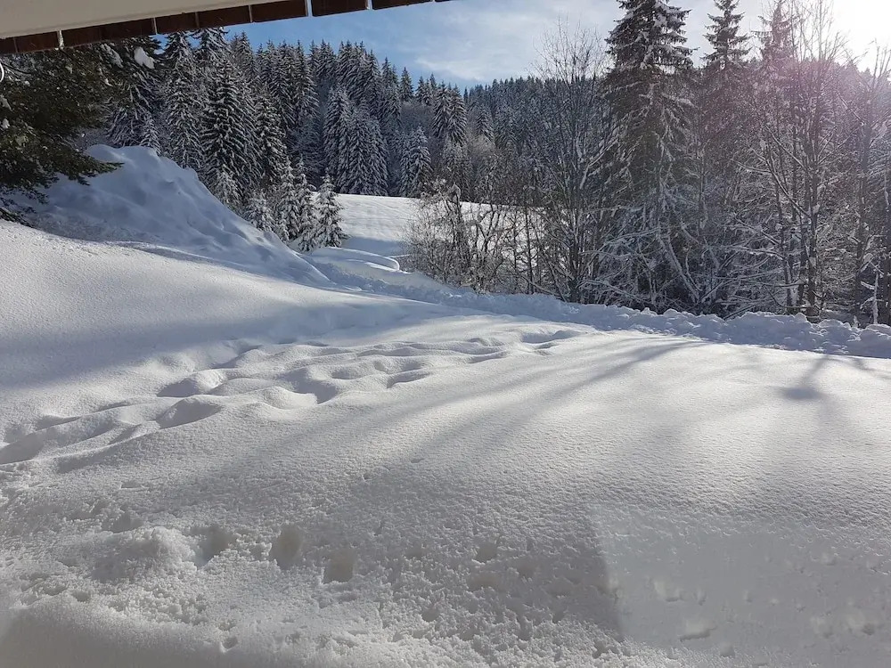 Raiches 2 - ARAVIS Holidays