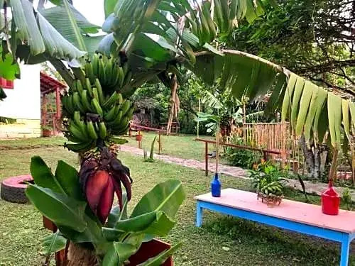 Hostel Casa da Praia