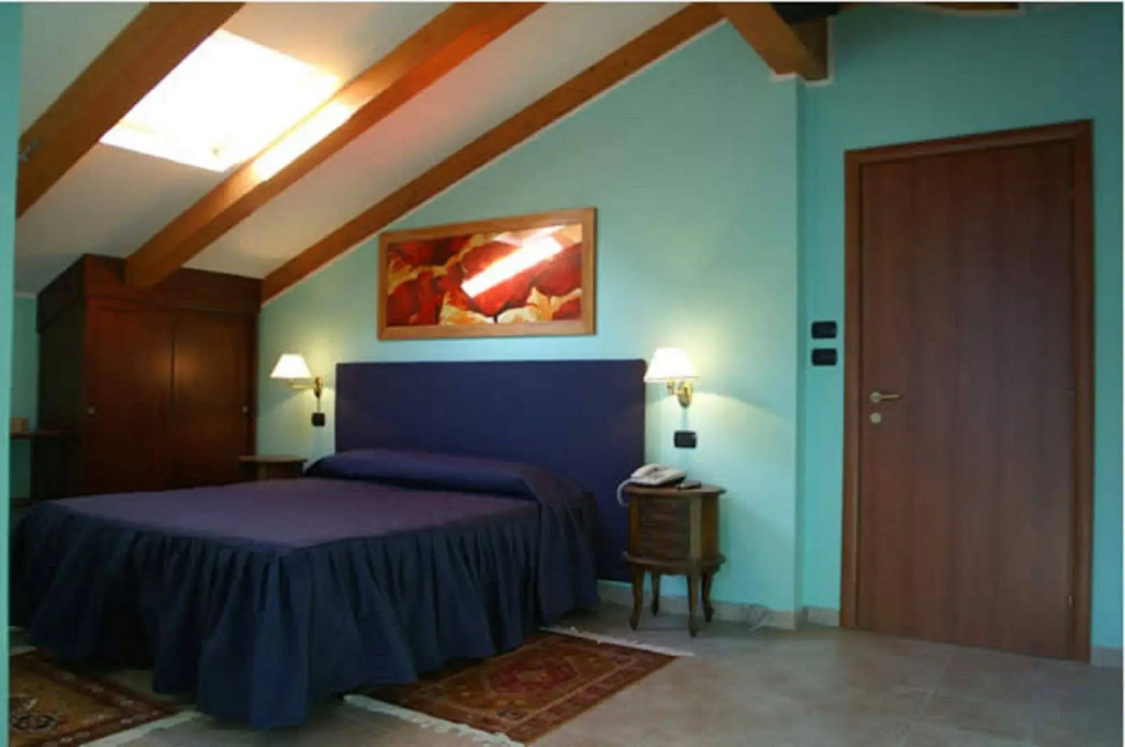 Hotel Lion