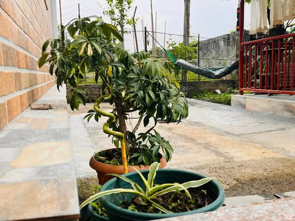 Datos GuestHouse