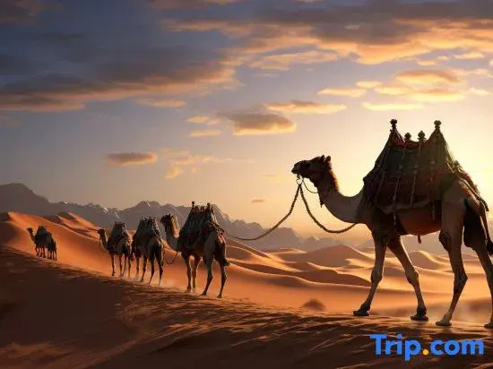 Zhongwei Mogang Starry Sky International Desert Campground