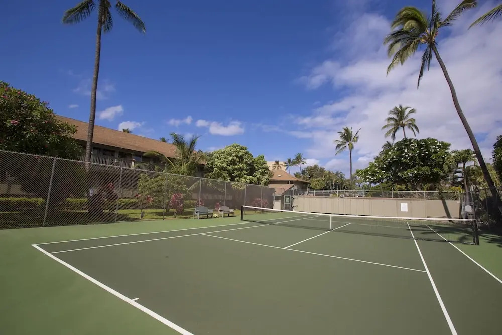 Kihei Bay Surf 227 by Maui Rental Group