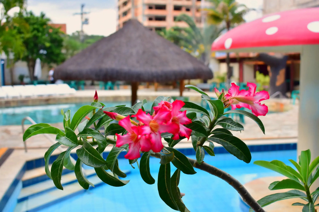 Rio das Pedras Thermas Hotel
