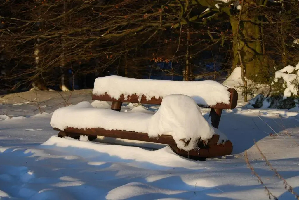 Waldhaus Föckinghausen Hotel Ferienwohnung Ferienhaus