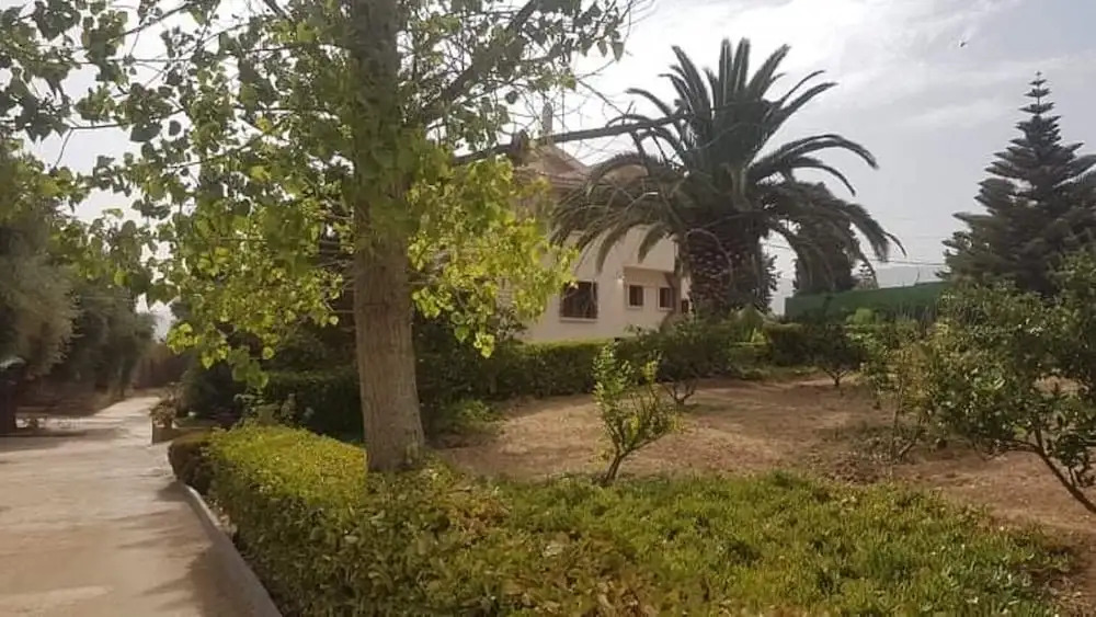 Villa L'orangeraie, Wilaya de Tlemcen