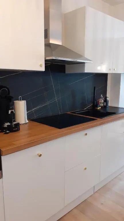 T3 moderne et cosy avec linge et ménage compris