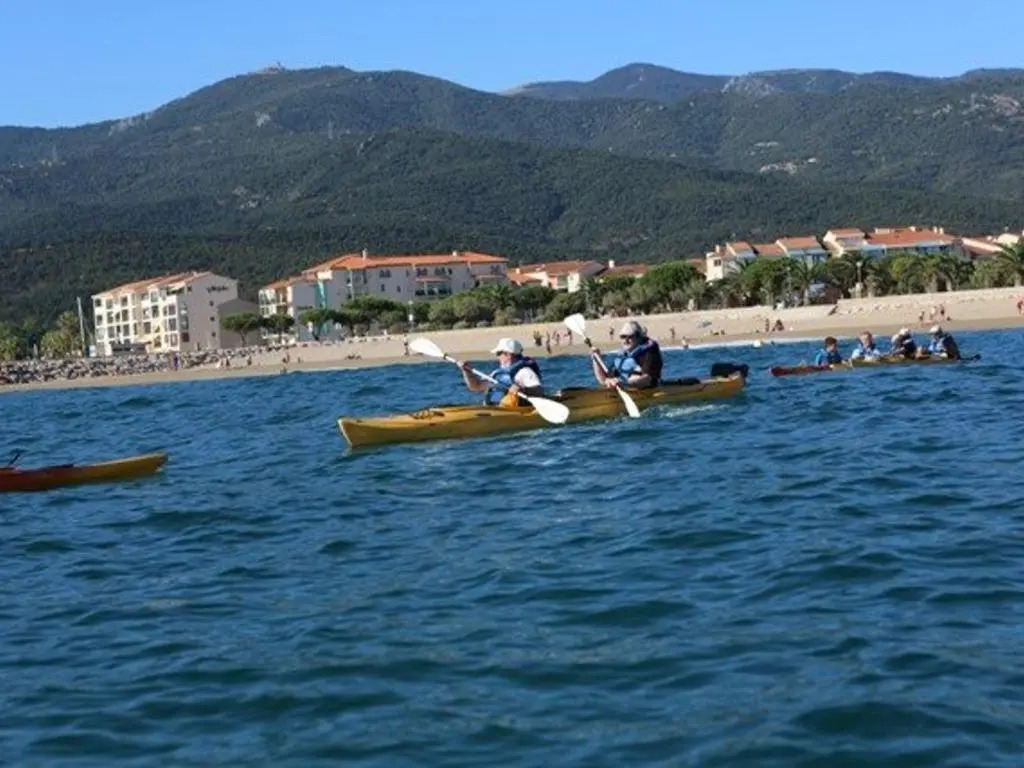 Appartement Argelès-sur-Mer, 1 pièce, 3 personnes - FR-1-225-634