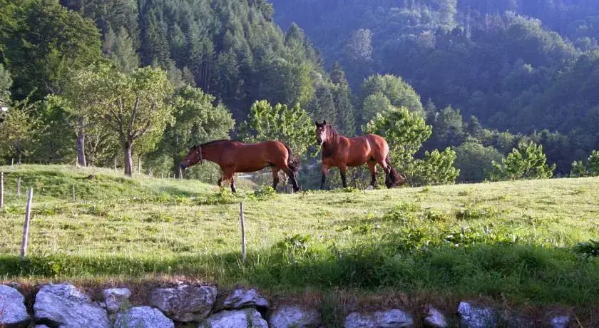 Oberulpointhof