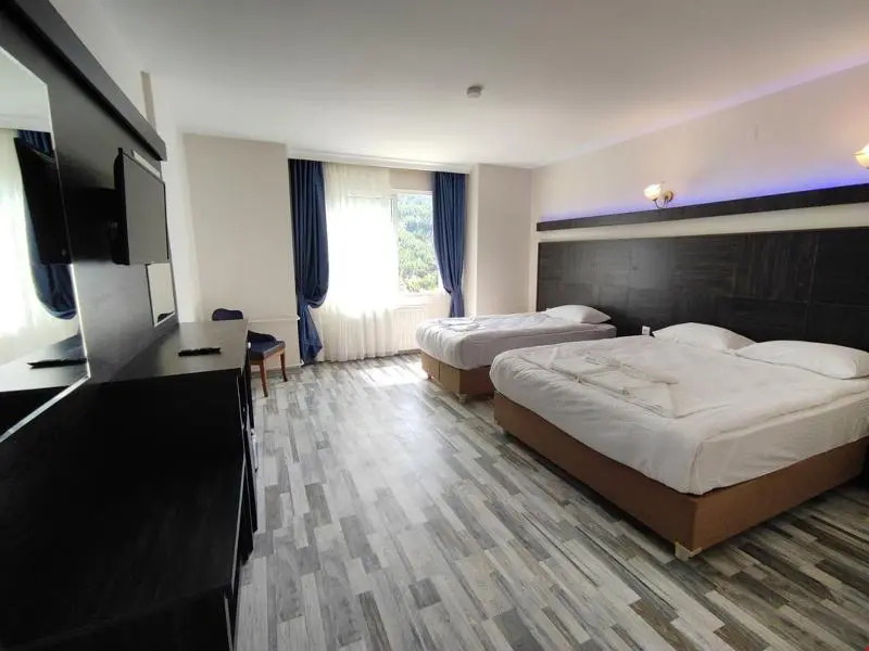 çelik hanım termal otel & spa