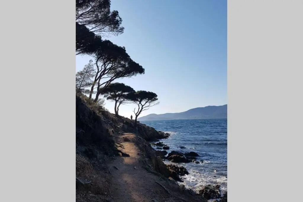 Appartement 2P Cavalaire