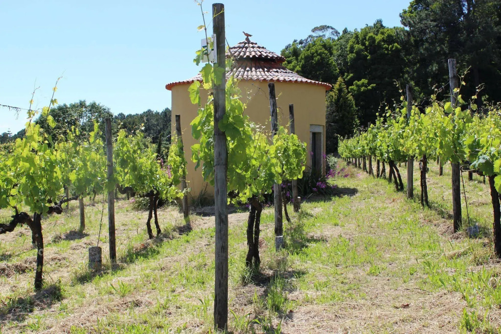 Casas do Monte de Roques