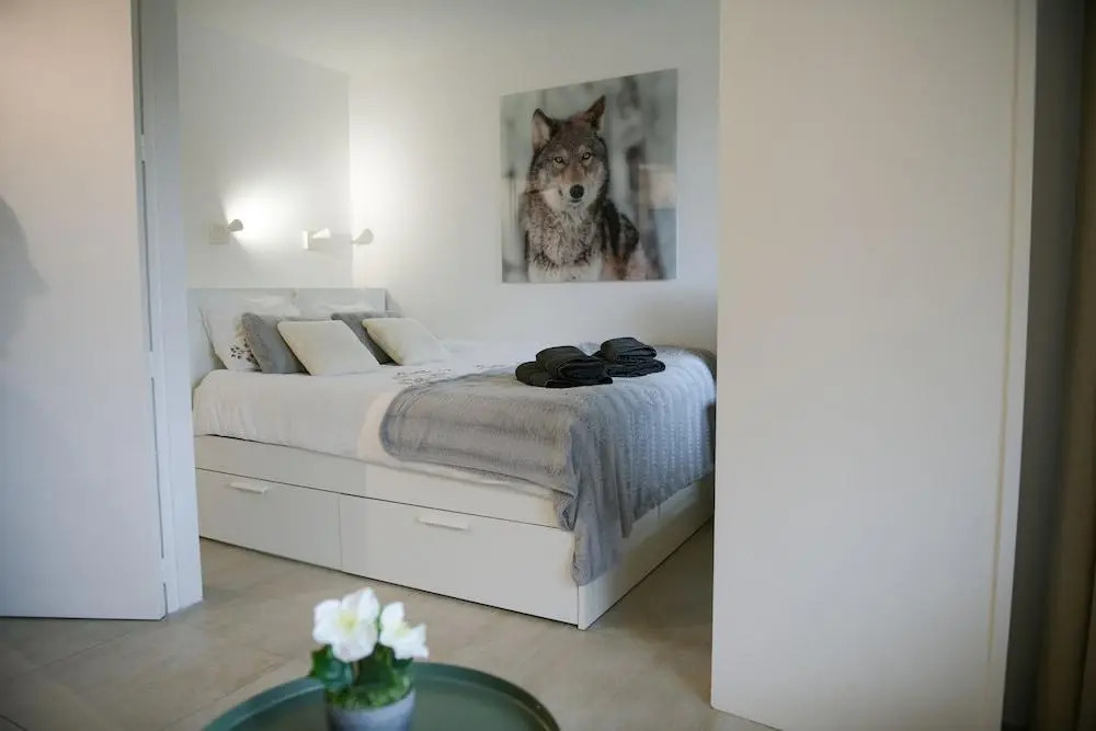 Slalom Residence Chamois Blanc