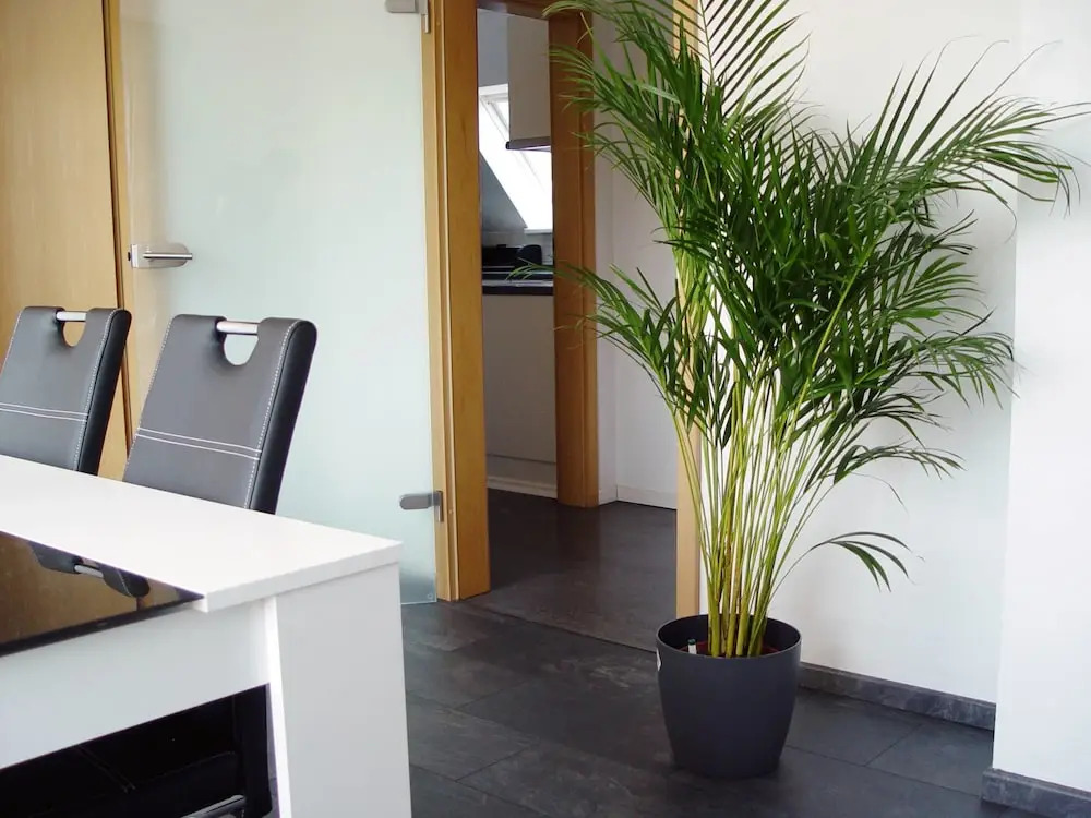La Domus Premium Osnabrück Lotte