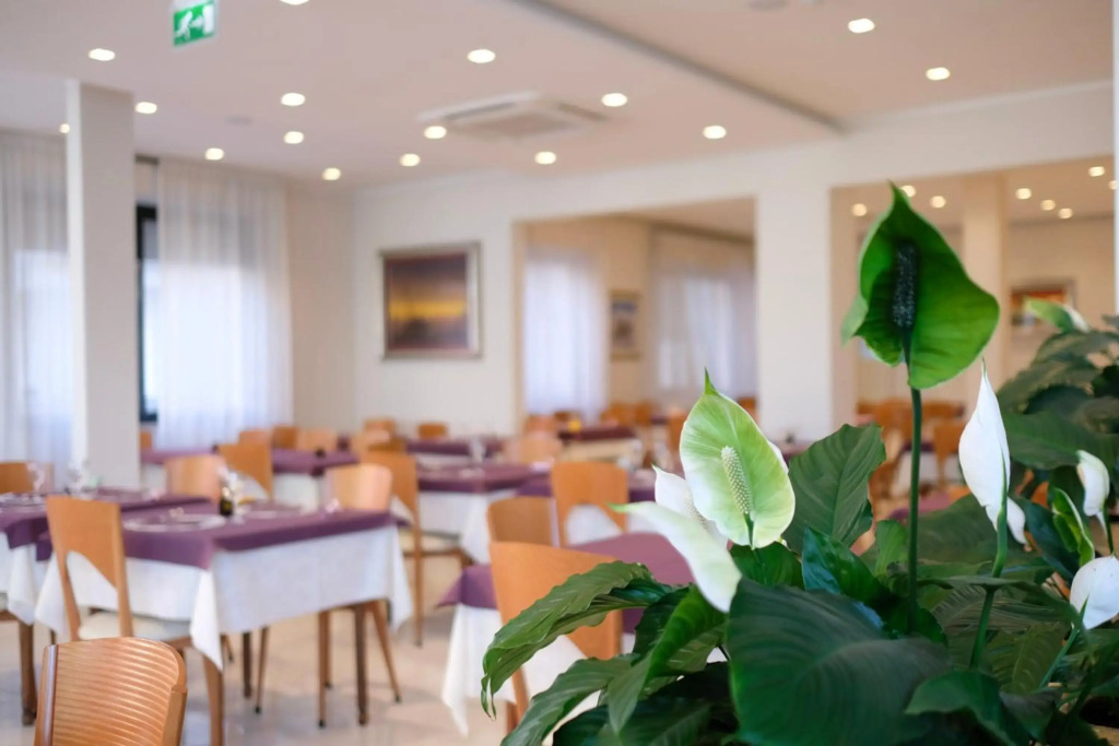 Hotel Astra