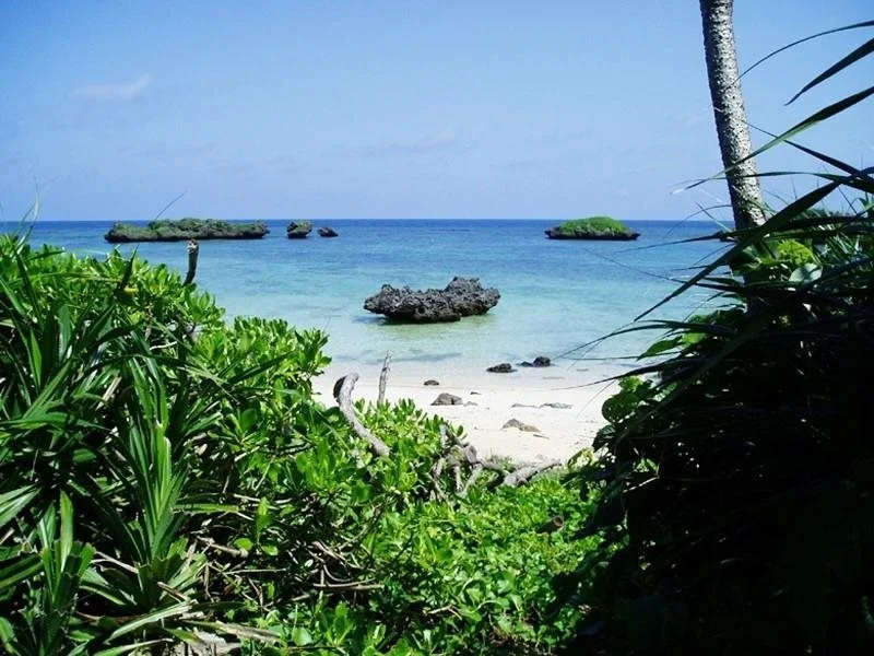 Hoshizuna Beachfront Coral Garden