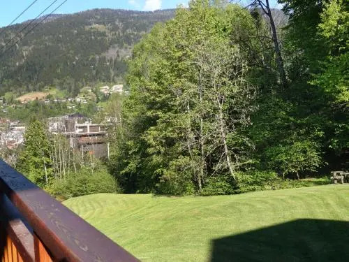 Apartment Châlet des Pistes