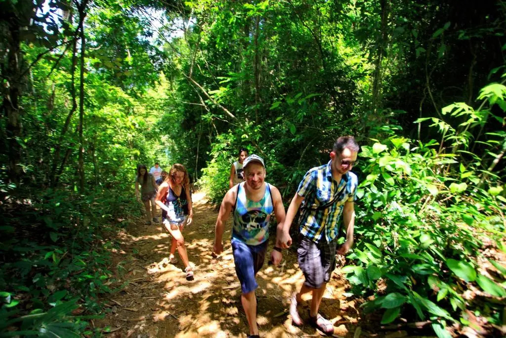 Khao Sok River Lodge Hotel