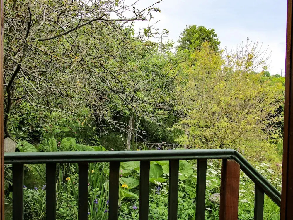 Milford Tree Tops