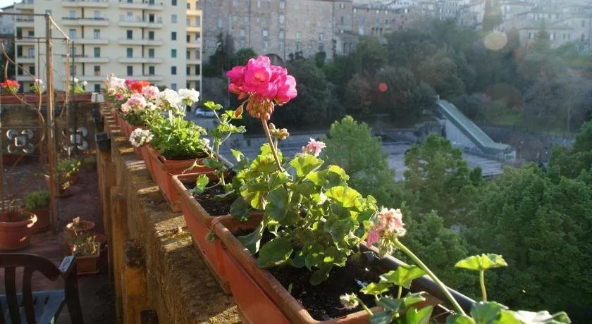 B&B Alla Residenza Domus Minervae
