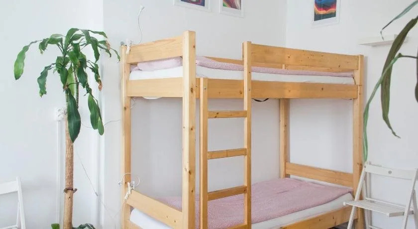Activity Hostel