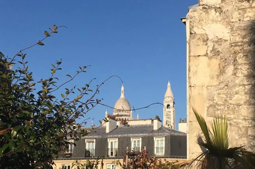 LUXURY FLAT WITH ROOFTOP TERRACE - Paris 18