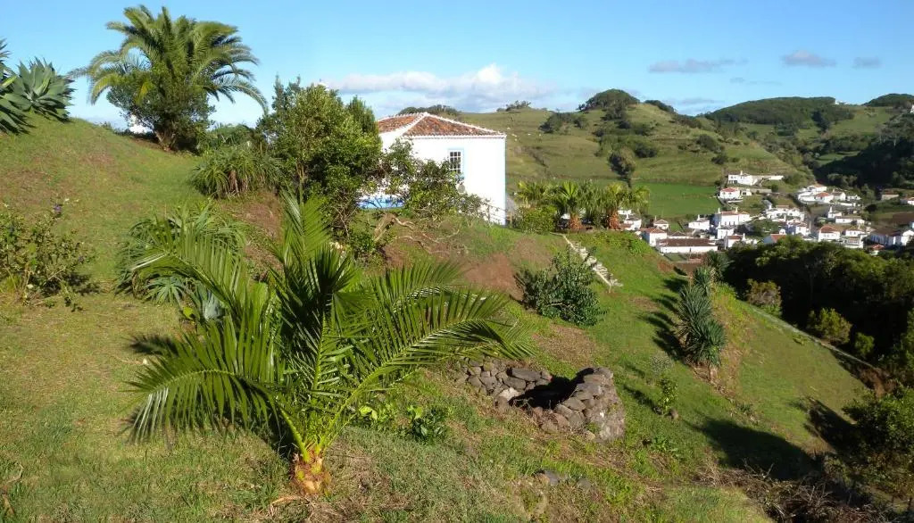 Casa Boavista
