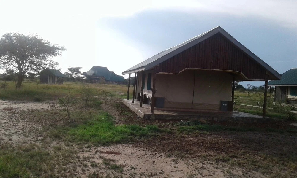 Zebra Kemang'ore Bush Tented Lodge