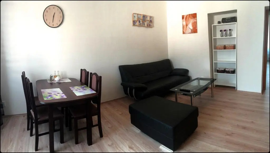 Apartment Krále Jiřího