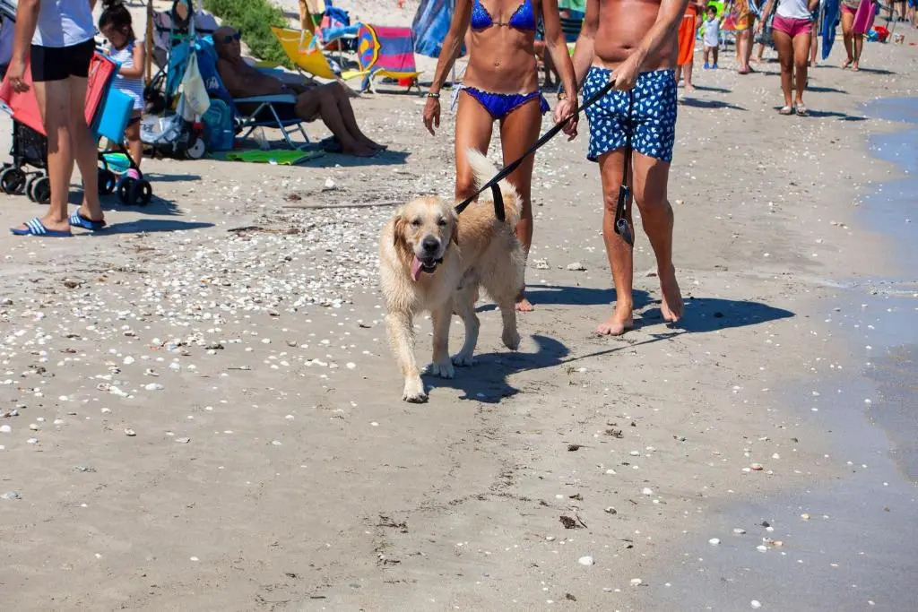 Bilocale mare ottimo prezzo vicino spiaggia m722