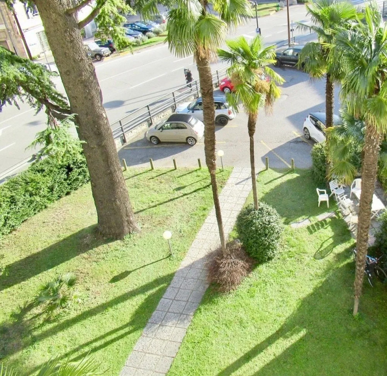 Tall Tree Apartment
