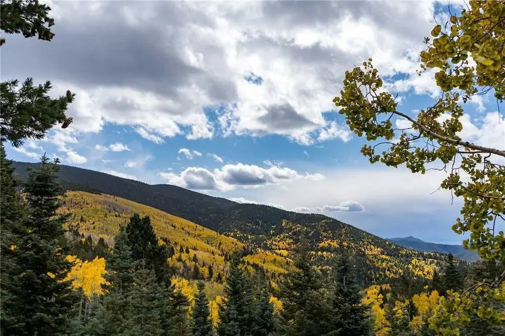Western Cowboy by Kokopelli Property Management