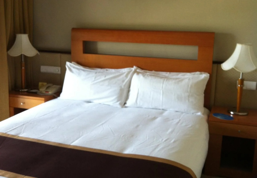 Donghu Lingang Hotel