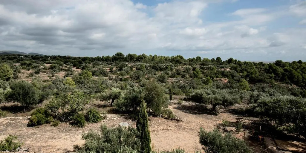 Finca Jabali