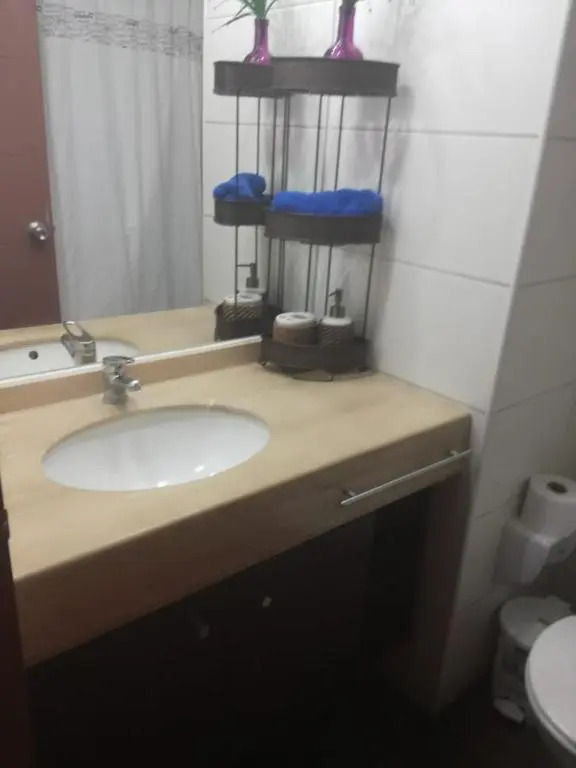 Teatinos 690
