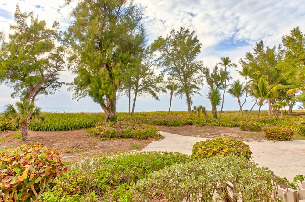 South Seas Beach Cottage 1414