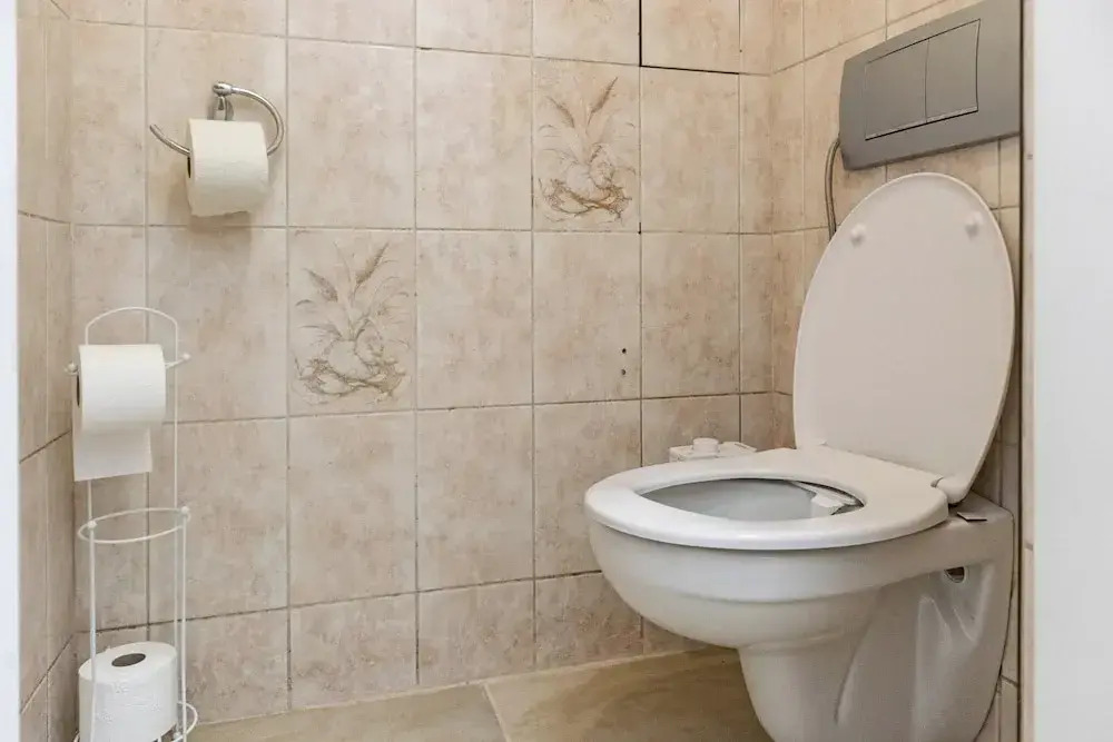 Luxury 6BR Apt near Millennium City
