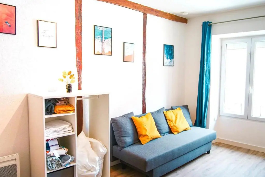 Le Tourangeau - Grand studio cosy en hypercentre