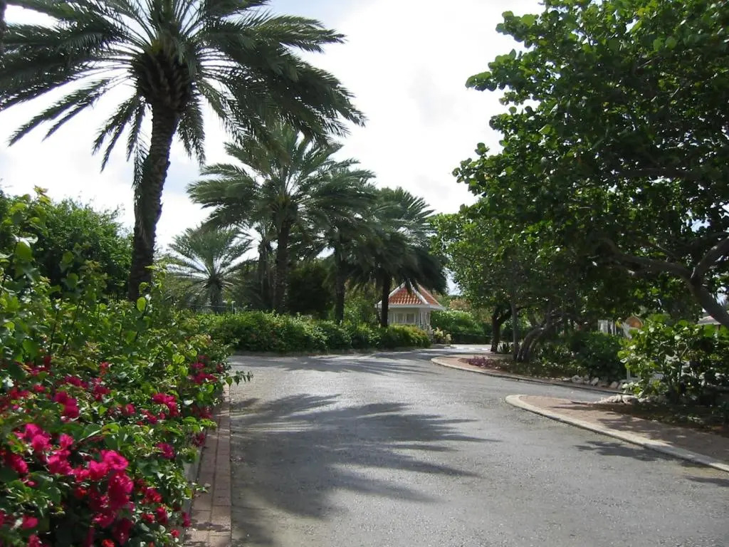 Piscadera Bay Resort 61