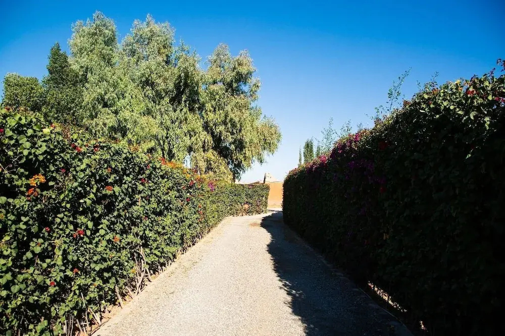 Maison safou