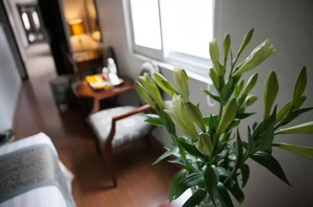Skylark Boutique and Spa