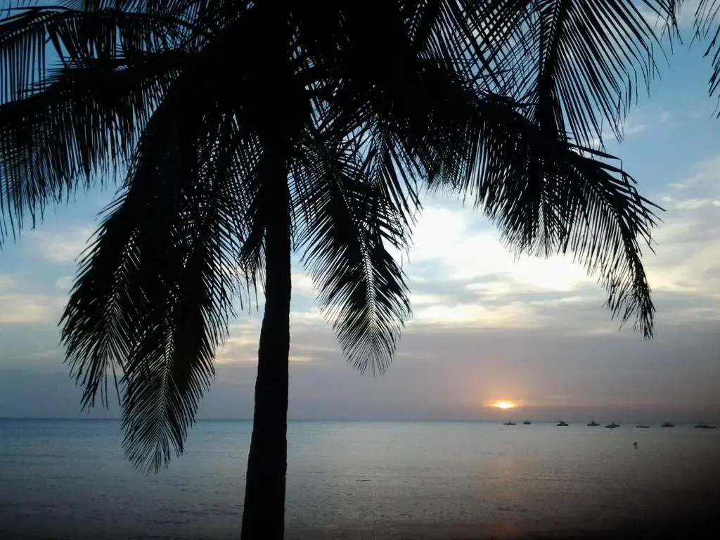 Jardin dAfrique, Saly