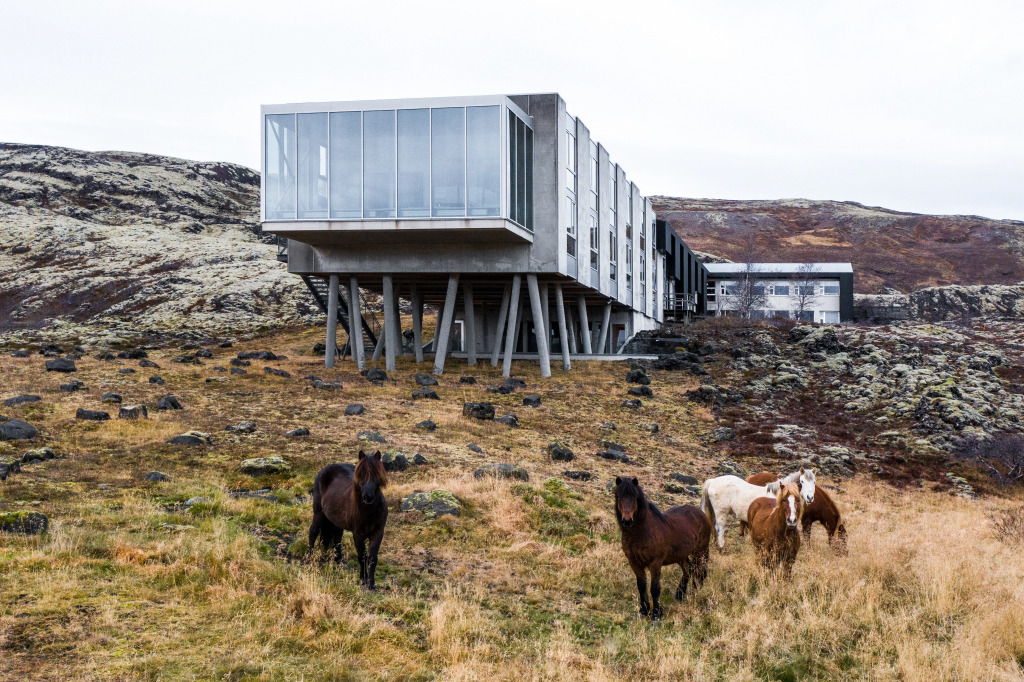 Отель ION Adventure, Nesjavellir, a Member of Design Hotels