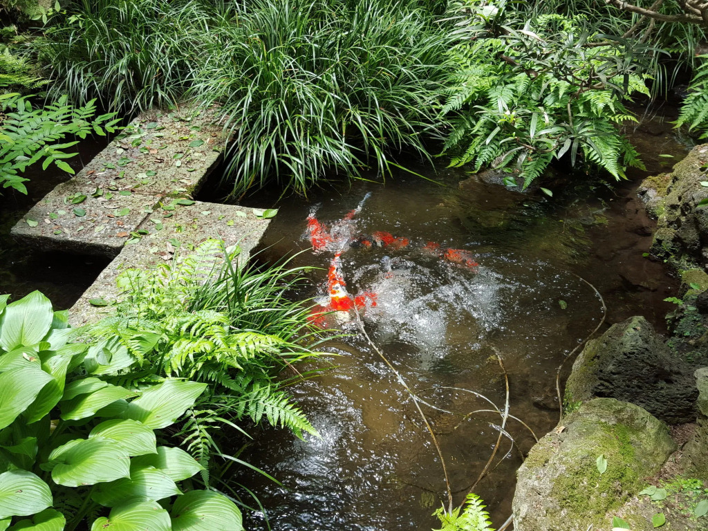 Tsukimotoya Ryokan