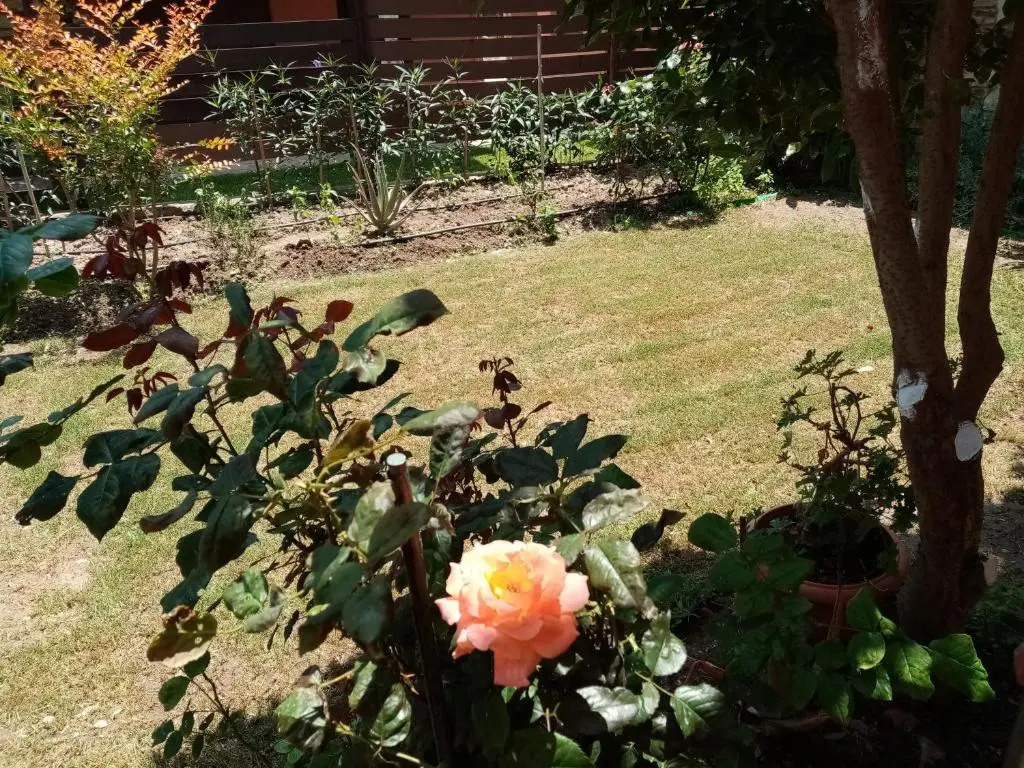 Mary'S House